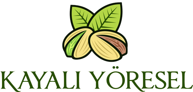 Lobbi Medya | 360 Dijital Ajans Hizmetleri - İnovasyon ve Yaratıcılık